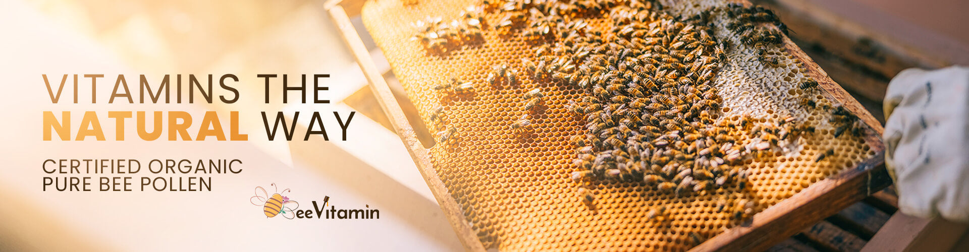 BeeVitamin - Premium Bee Pollen & Honey | Vitamins the Natural Way