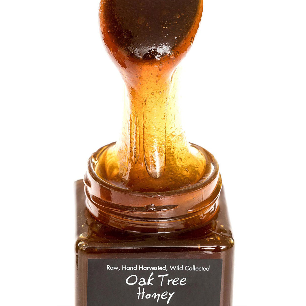 Oak Tree Honey -  Wild RAW Organic Greek Mountain Honey
